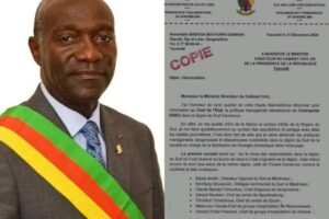 Lire la suite à propos de l’article « Il n’y a pas de tribalisme à Eneo dans le Sud » : Cédric André Siewe répond au député Bindoua